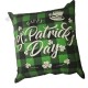 AYUNBU Throw pillow for Sofa Couch Home Farmhouse St Patricks Day Holiday Decor